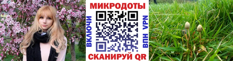 KRAKEN рабочий сайт Змеиногорск Галлюциногенные грибы мухоморы наркота